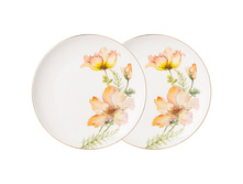 590-431 ����� ������� ���������� LEFARD "SENSE" 2 ��. 20,5 �� _1090 ���.+%