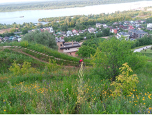 20230615 �������� �������� 193837.jpg