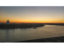 IMG 20200819 210617.jpg