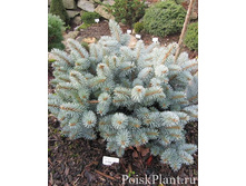 ��� ������� ������ (Kenosha)�5, Pa100-120 15-20, 5738