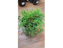 ����������� viber 2023-05-31 08-47-20-929.jpg