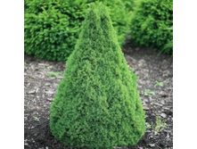 ��� ����� ������ (�������������), �3, 30-50, 1500 ���