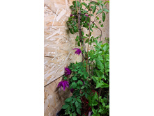 ����������� viber 2023-05-31 08-33-39-942.jpg