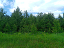 20230611 5 ������� 130926.jpg