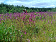 20230611 5 ������� 110549.jpg