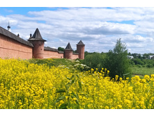 IMG 20230610 133731.jpg