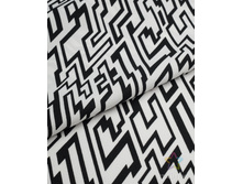 ���� �������