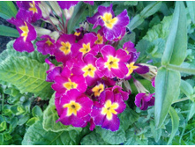 �������