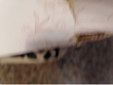 IMG 20230609 211057.jpg