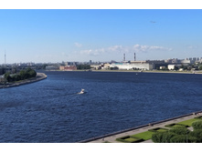 IMG 20200816 160910.jpg