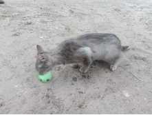 20230514 ����� ����� 121304.jpg