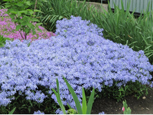 ����� ������������� ��� ���, �0.7-1�, 250 ���