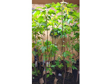 ����������� viber 2023-05-31 08-34-02-907.jpg