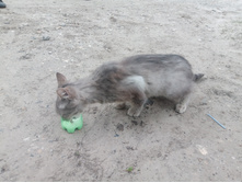 20230514 ����� ����� 121307.jpg