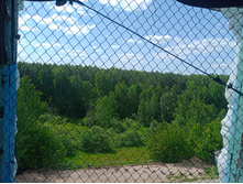 20230611 5 ������� 142548.jpg