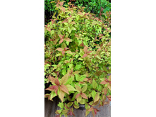 ����������� viber 2023-05-31 08-33-25-457.jpg