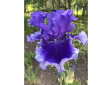 Money in your pocket