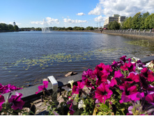 IMG 20200818 151846.jpg