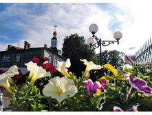 IMG 20230611 163053.jpg