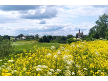 IMG 20230610 133704.jpg