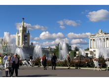 IMG 20200815 163635.jpg