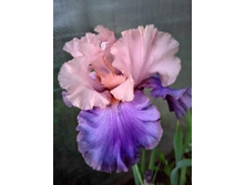 IMG 20230610 213042.jpg