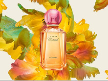 HAPPY BIGARADIA CHOPARD � � 100 �� 4800+%+����