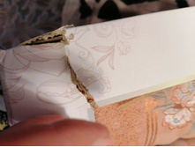 IMG 20230609 211104.jpg