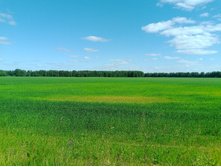 20230611 5 ������� 145119.jpg