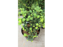 ����������� viber 2023-05-31 08-33-40-377.jpg