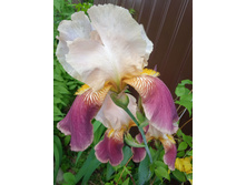 IMG 20230611 112316 1.jpg