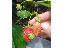 IMG 20230606 111037.jpg