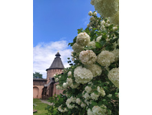 IMG 20230610 140353.jpg