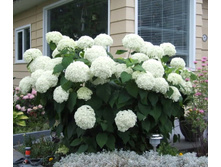 ��������� ����������� ������ ������� , �3, 750 ���