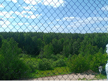 20230611 5 ������� 142600.jpg