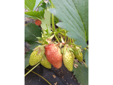 IMG 20230611 111759 1.jpg