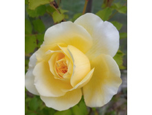 IMG 20230623 093125.jpg