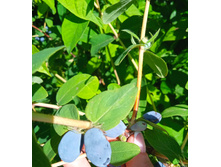 IMG 20230605 092225.jpg