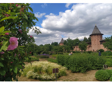 IMG 20230610 140428.jpg