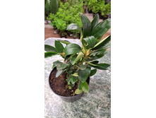 ����������� viber 2023-05-31 08-47-07-197.jpg