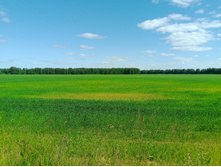 20230611 5 ������� 145117.jpg