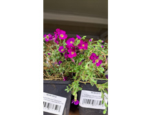 ����������� viber 2023-05-31 08-33-21-687.jpg