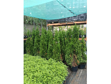 ����������� viber 2023-07-11 15-15-10-134.jpg