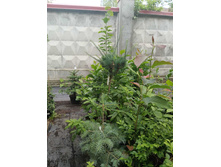 ����������� viber 2023-07-11 15-15-09-269.jpg