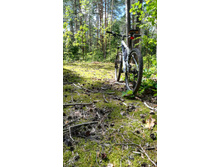 IMG 20230722 124730.jpg