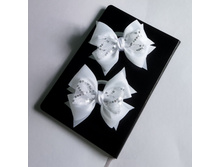 ���� ������������ ����������� � ��������� 11�� (43)