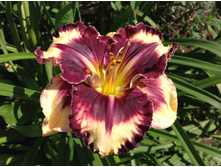 �������� �������