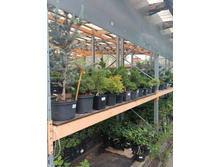 ����������� viber 2023-07-11 15-15-09-824.jpg