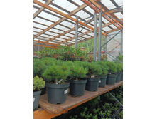 ����������� viber 2023-07-11 15-15-09-145.jpg