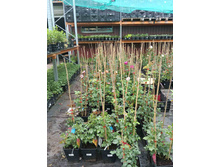 ����������� viber 2023-07-11 15-15-11-662.jpg